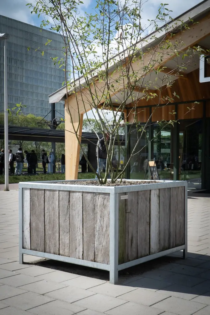 Holz Pflanzkübel aus Holz mit grünen Pflanzen für Garten oder Terrasse